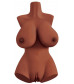 Коричневый мастурбатор-торс Perfect 10 Torso