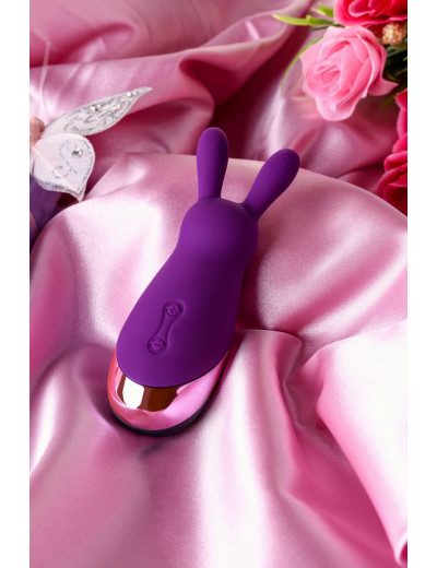 Фиолетовый стимулятор эрогенных зон Eromantica BUNNY - 12,5 см.