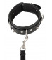 Черный ошейник Collar and Leash с поводком