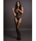 Пикантный боди-комбинезон Lace and Fishnet Bodystocking
